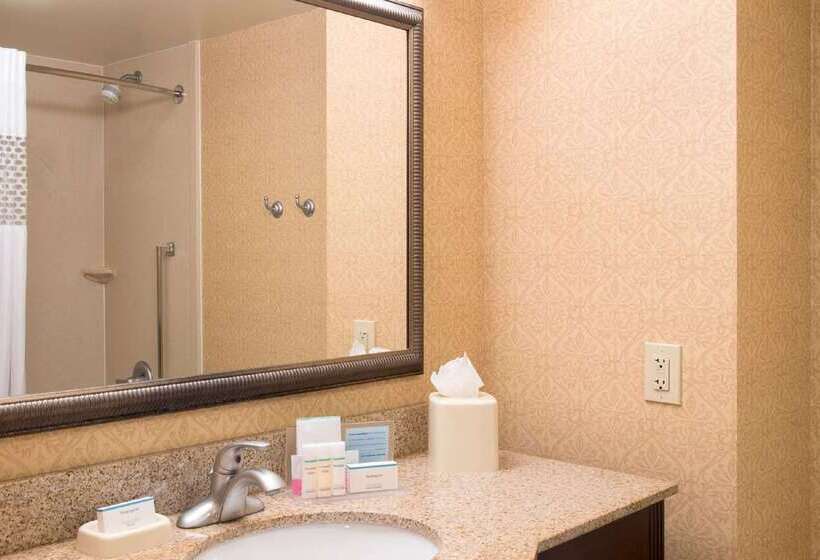 Отель Hampton Inn Schenectady Downtown