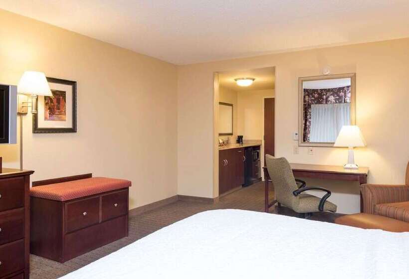 فندق Hampton Inn Schenectady Downtown