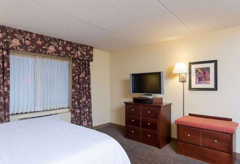 Отель Hampton Inn Schenectady Downtown