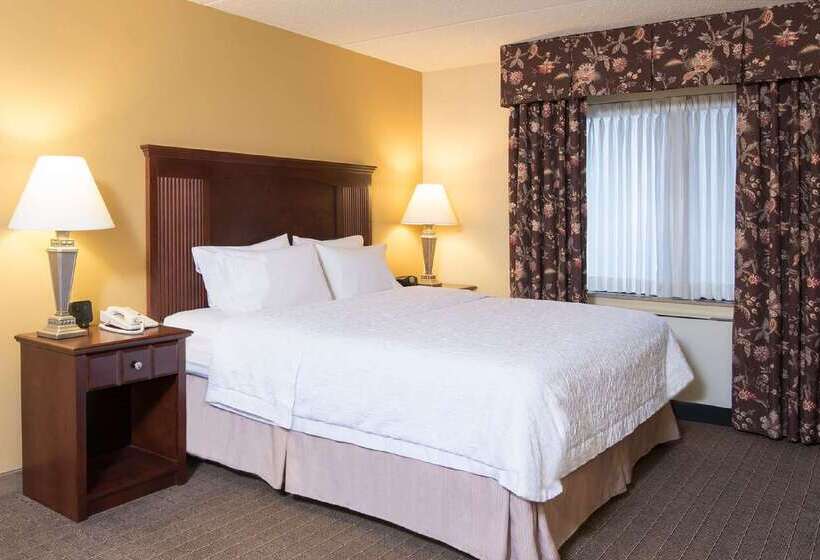Отель Hampton Inn Schenectady Downtown