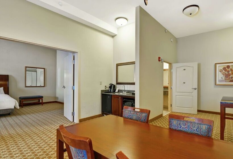 호텔 Hilton Garden Inn Amarillo
