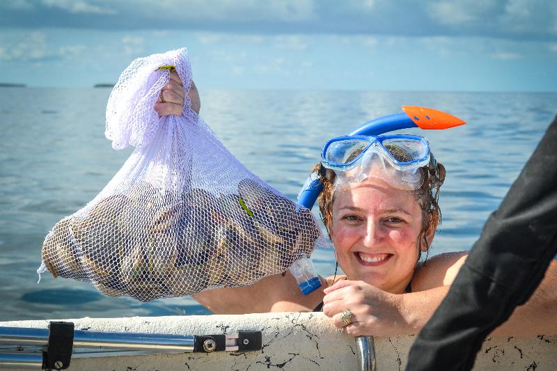 فندق Holiday Inn Express Crystal River, An Ihg