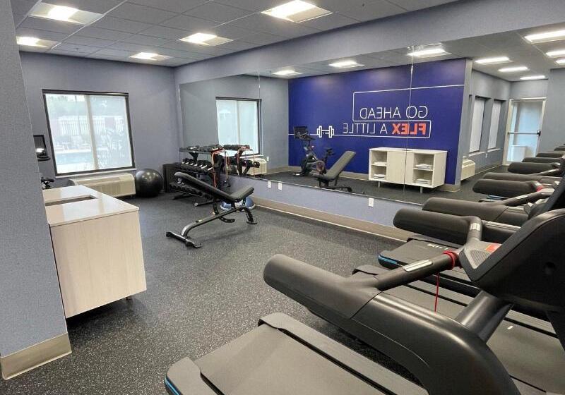 酒店 Holiday Inn Express & Suites   Tuscaloosa University, An Ihg