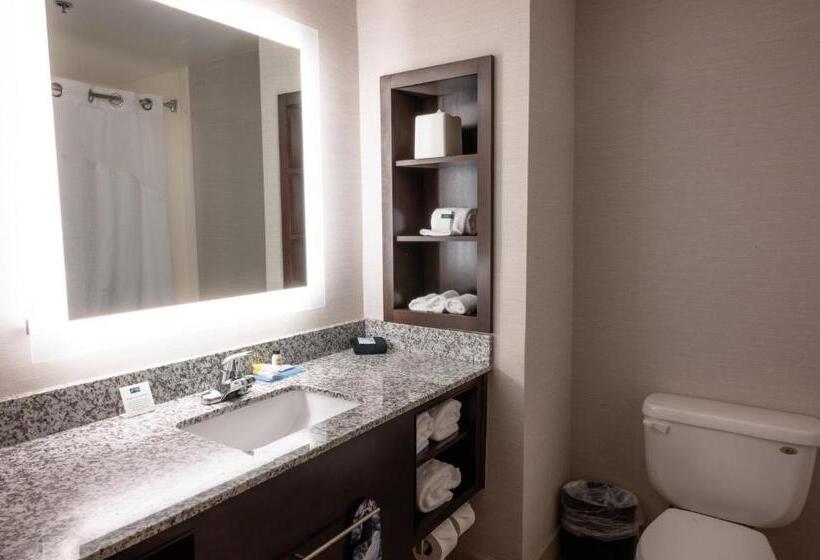 酒店 Holiday Inn Express & Suites   Tuscaloosa University, An Ihg