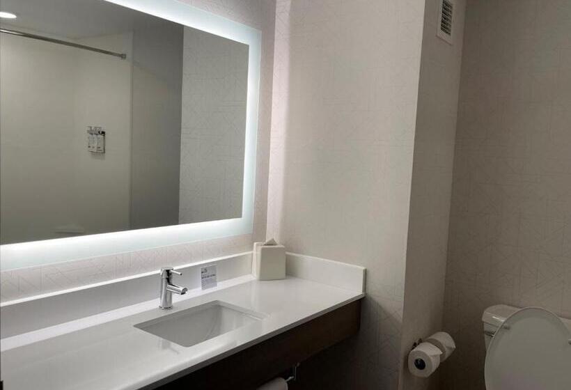 هتل Holiday Inn Express & Suites   Tuscaloosa University, An Ihg