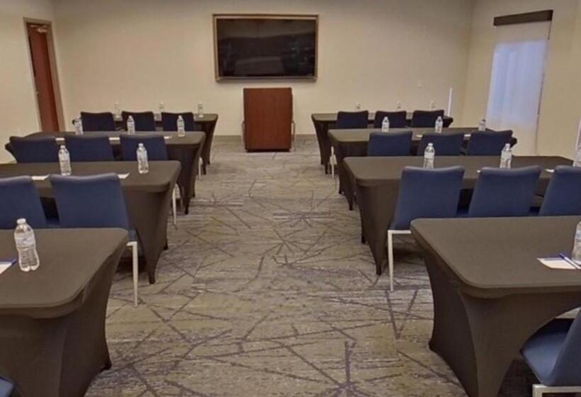 酒店 Holiday Inn Express & Suites   Tuscaloosa University, An Ihg