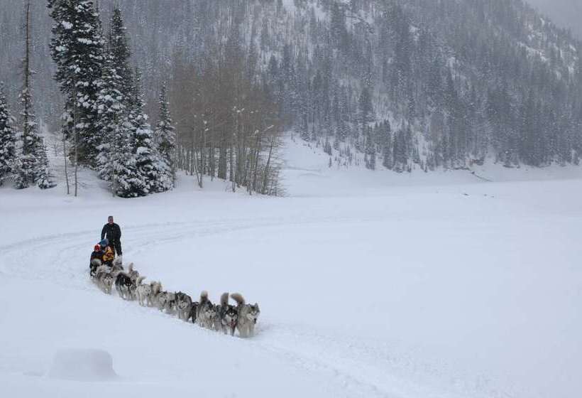Отель Hyatt Centric Park City