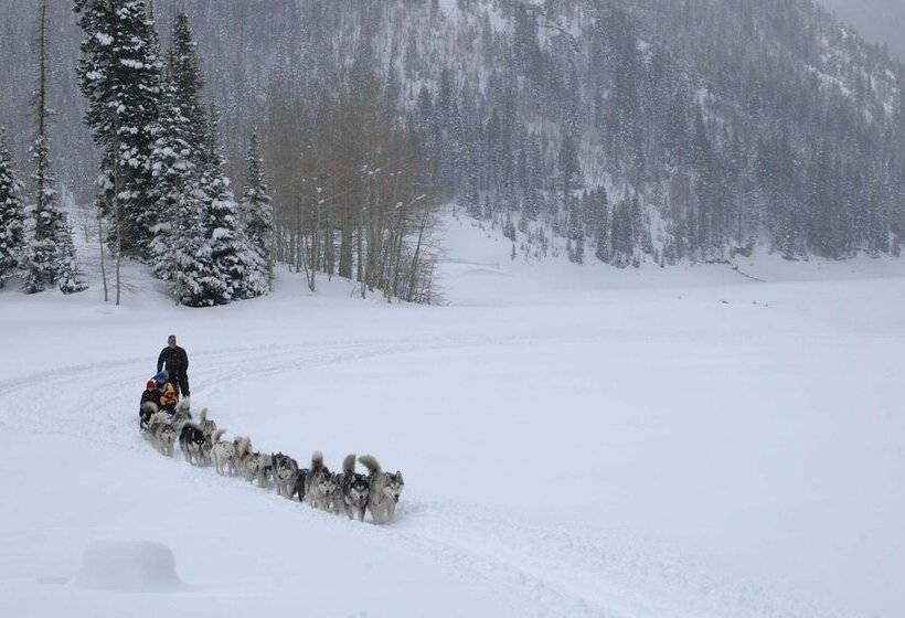 Отель Hyatt Centric Park City