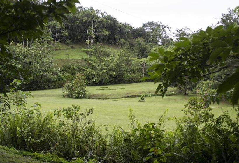 Lands In Love Hotel And Resort