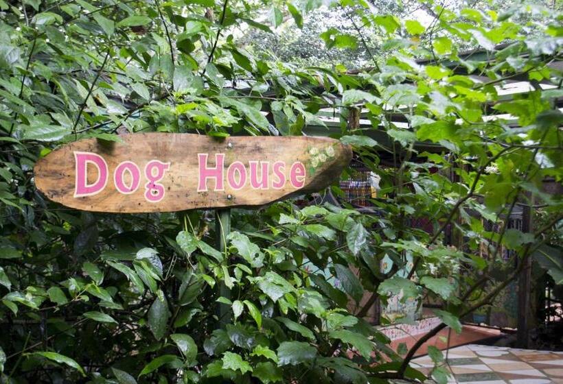 Lands In Love Hotel And Resort