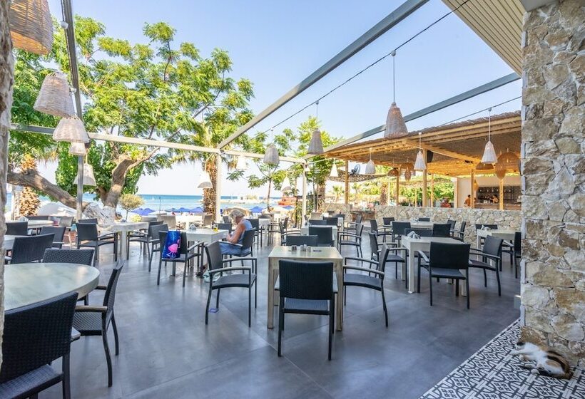 ホテル Lido Star Beach