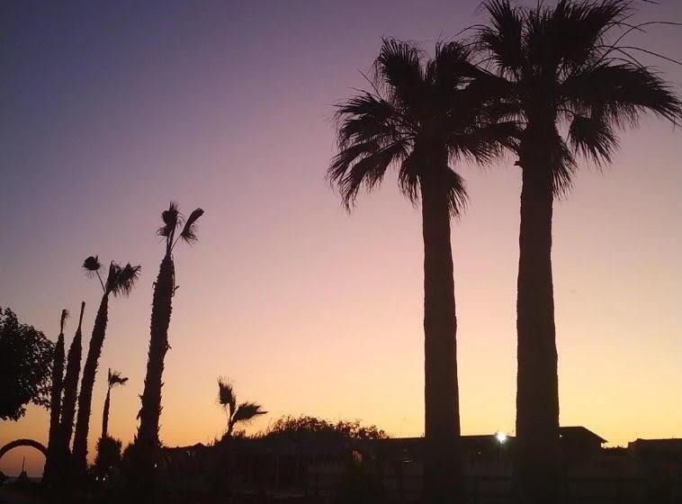 Malia Bay Beach Hotel & Bungalows