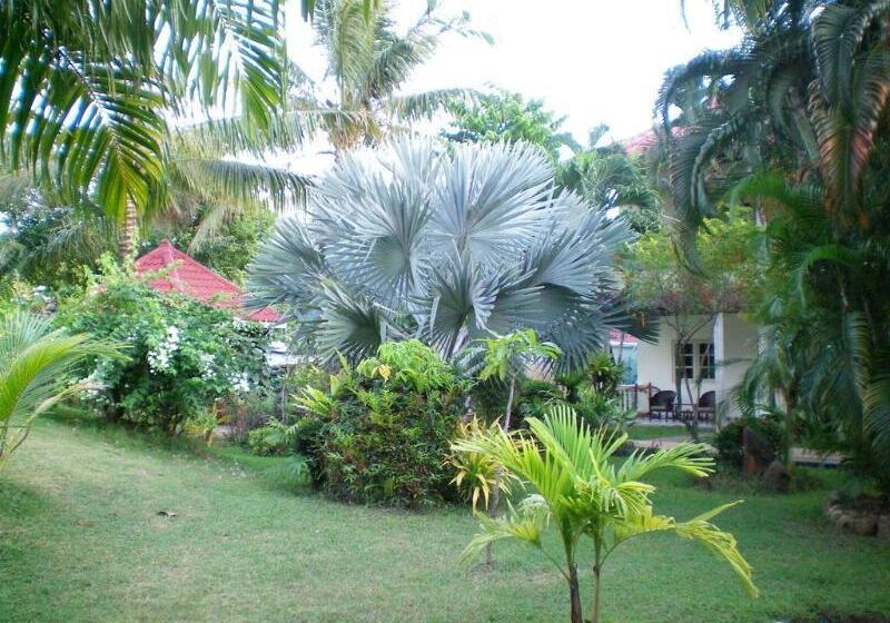 Patong Palace Hotel   Sha Extra Plus