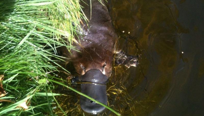 فندق The Woodbridge Waterfront Rooms