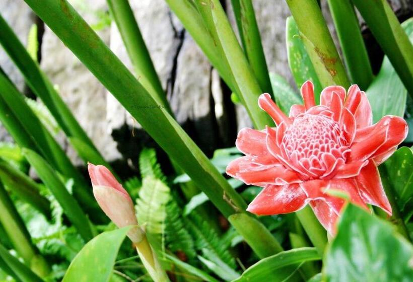 Отель Tropicana Lanta Resort