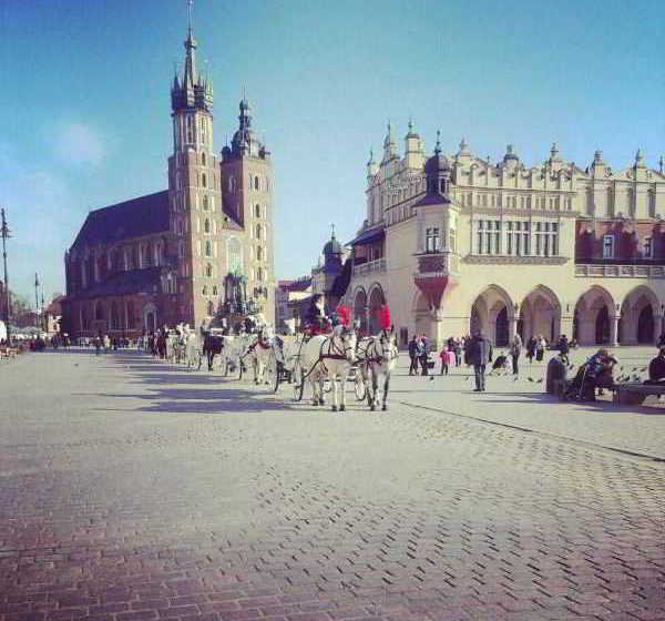 Pink Panther’s Hostel