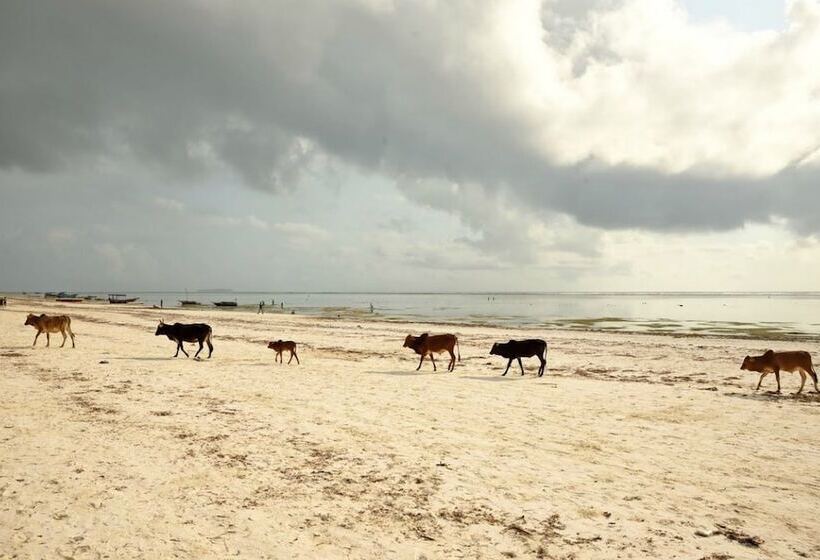 Villa Kiva Boutique Hotel