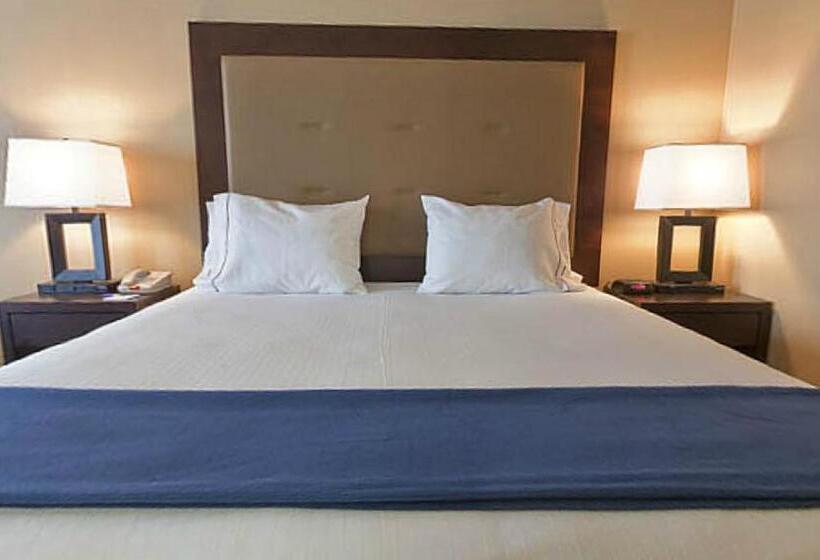 בית מלון כפרי Holiday Inn Express & Suites Detroit   Novi, An Ihg