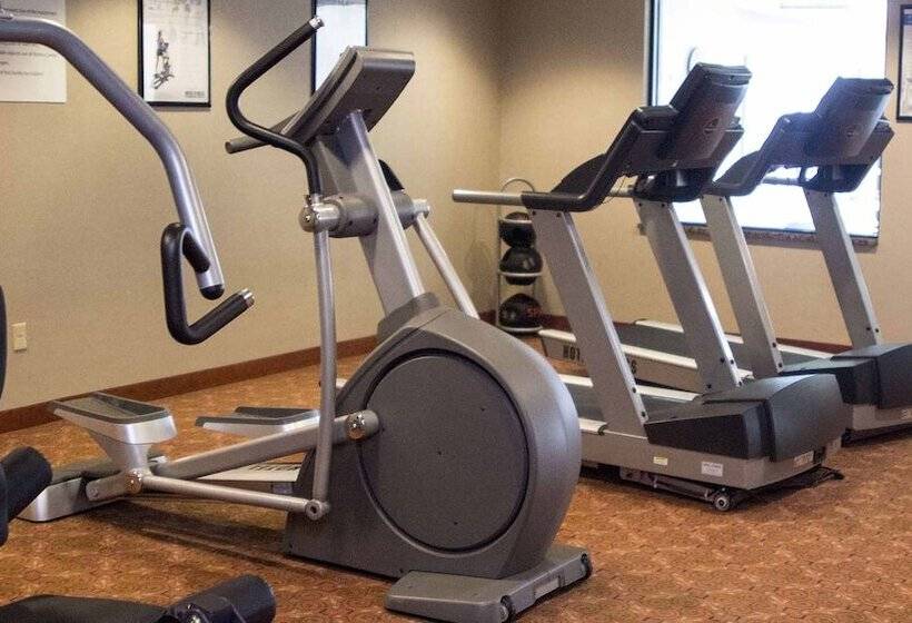 בית מלון כפרי Holiday Inn Express & Suites Detroit   Novi, An Ihg