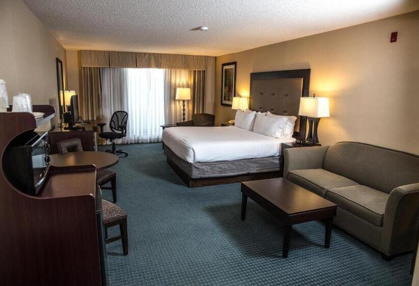 בית מלון כפרי Holiday Inn Express & Suites Detroit   Novi, An Ihg