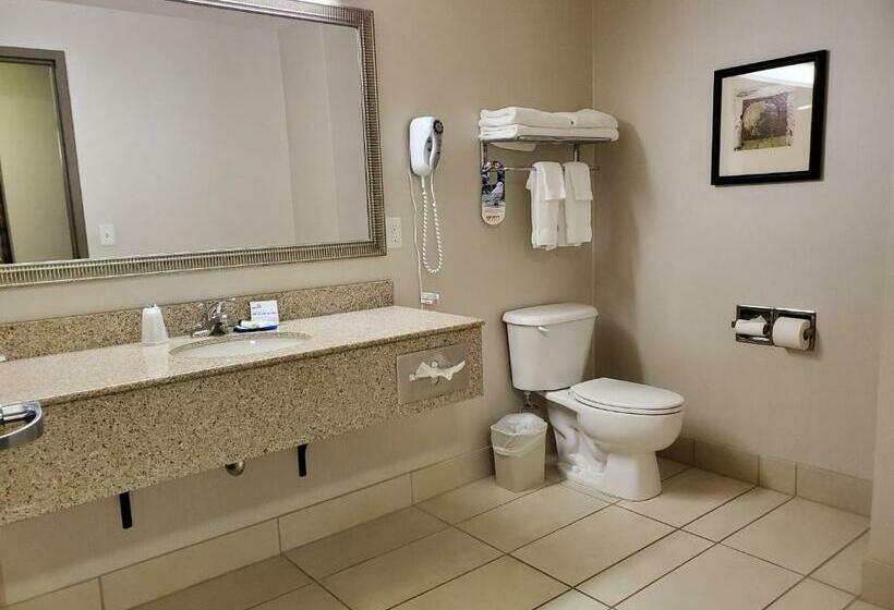 Holiday Inn Express Hotel & Suites Mankato East, An Ihg