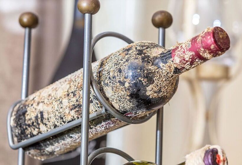 酒店 Baja Romantica