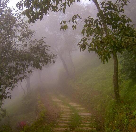 هتل Blackberry Hills Munnarnature Resort & Spa