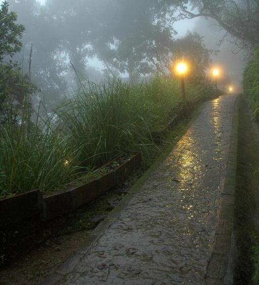 هتل Blackberry Hills Munnarnature Resort & Spa