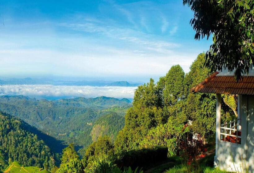 هتل Blackberry Hills Munnarnature Resort & Spa