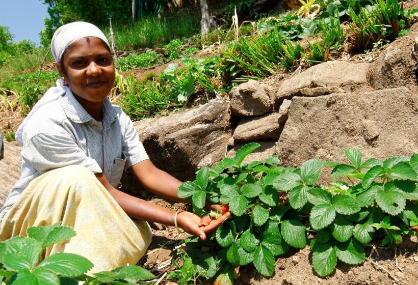 هتل Blackberry Hills Munnarnature Resort & Spa