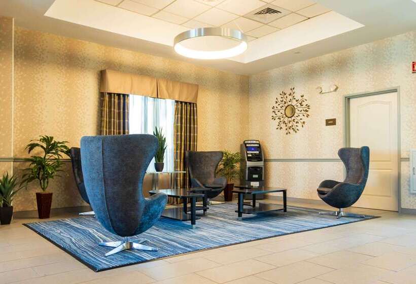 فندق Comfort Inn & Suites Plainvillefoxboro