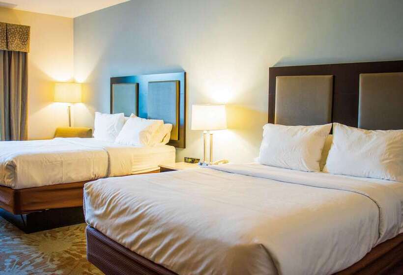 فندق Comfort Inn & Suites Plainvillefoxboro