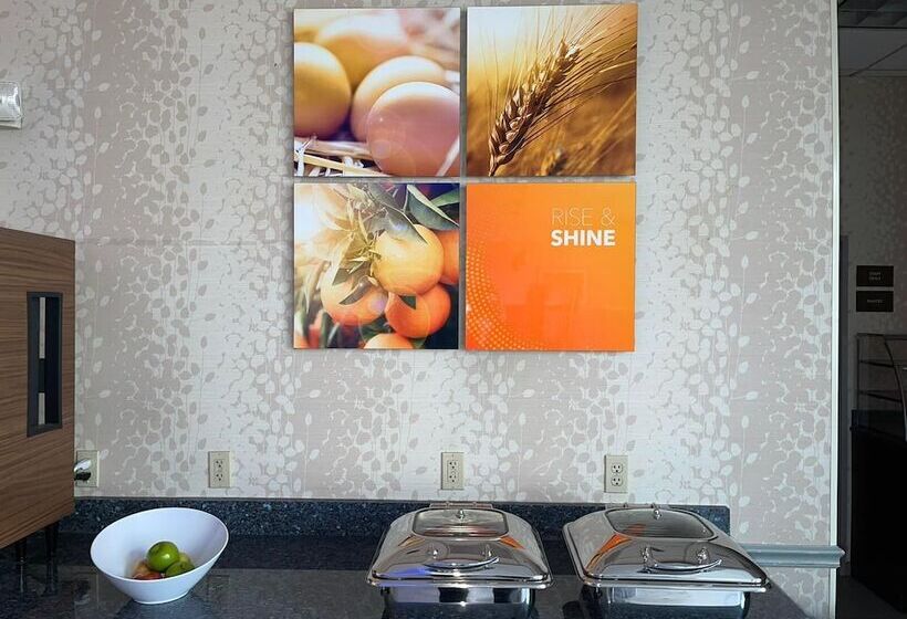 فندق Comfort Inn & Suites Plainvillefoxboro