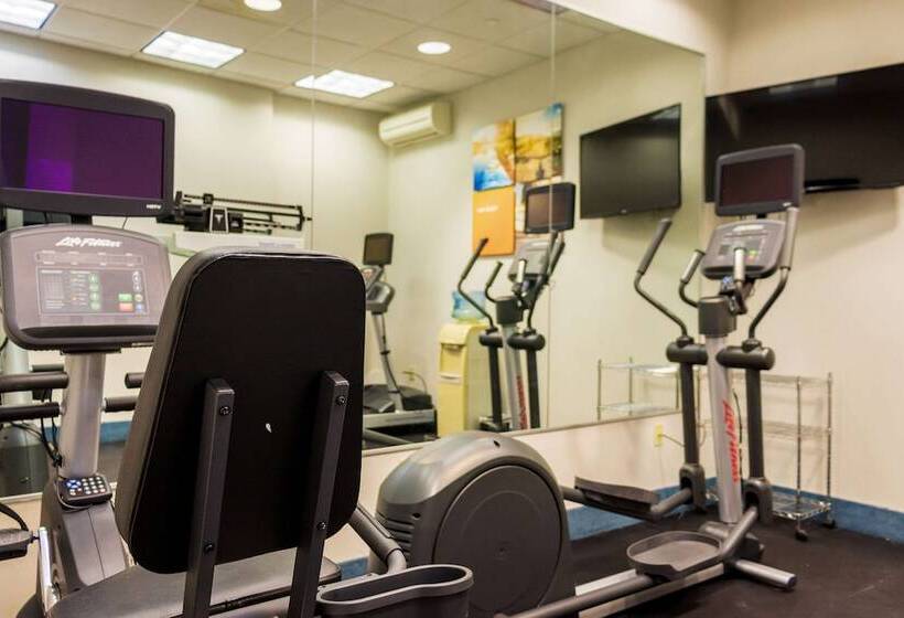 فندق Comfort Inn & Suites Plainvillefoxboro