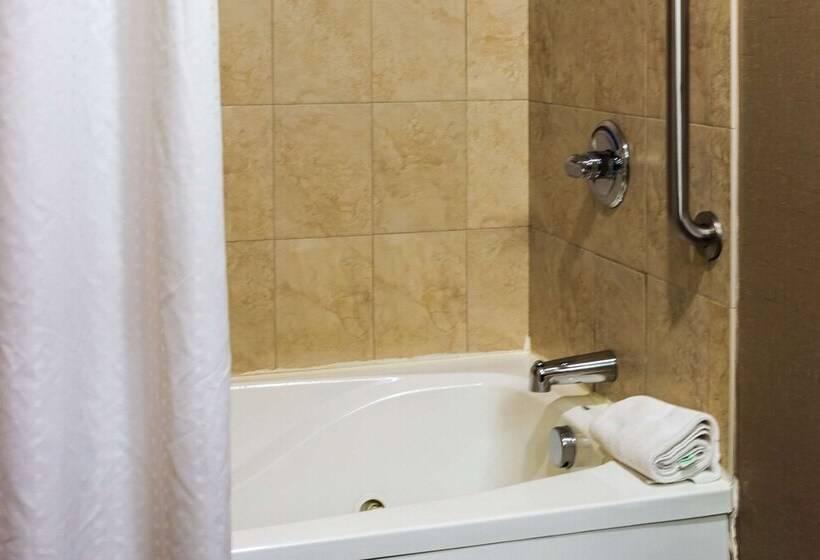 فندق Comfort Inn & Suites Plainvillefoxboro