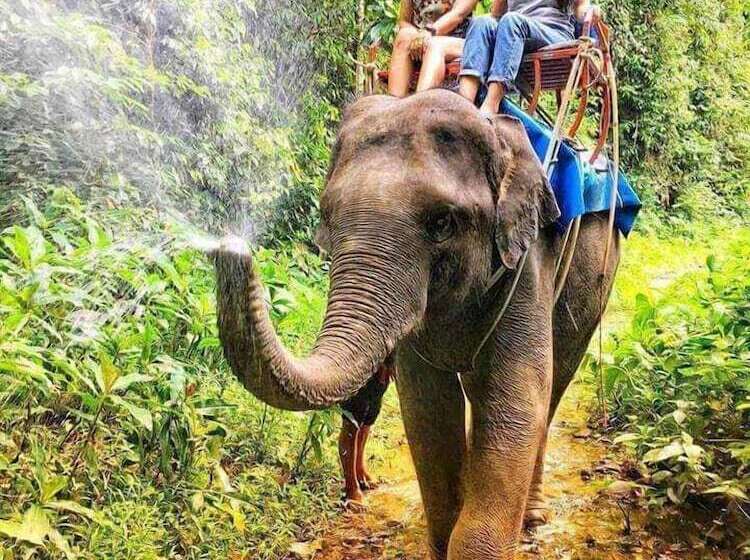 בית מלון כפרי Dreamz Ocean Pearl Resort & Spa