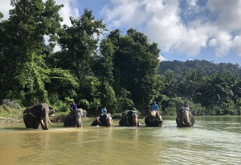 בית מלון כפרי Dreamz Ocean Pearl Resort & Spa