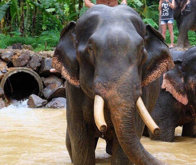 בית מלון כפרי Dreamz Ocean Pearl Resort & Spa