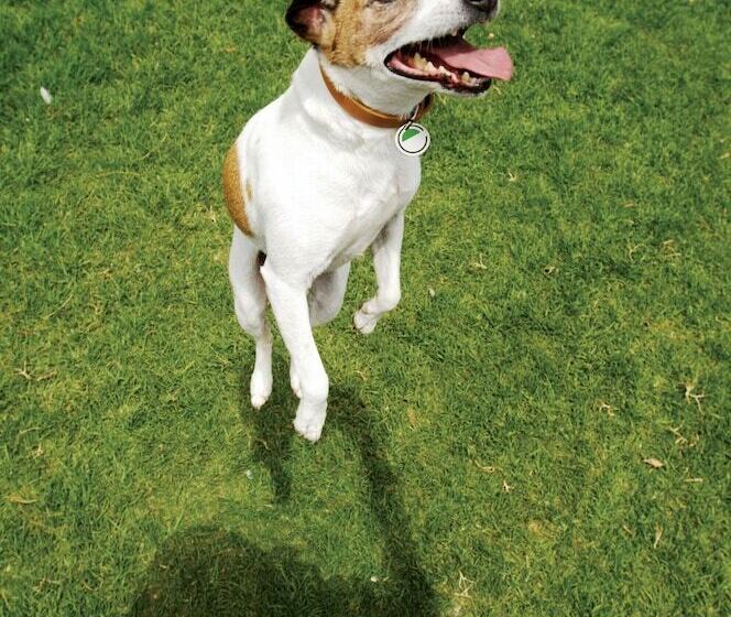 בית מלון כפרי Element Miami International Airport