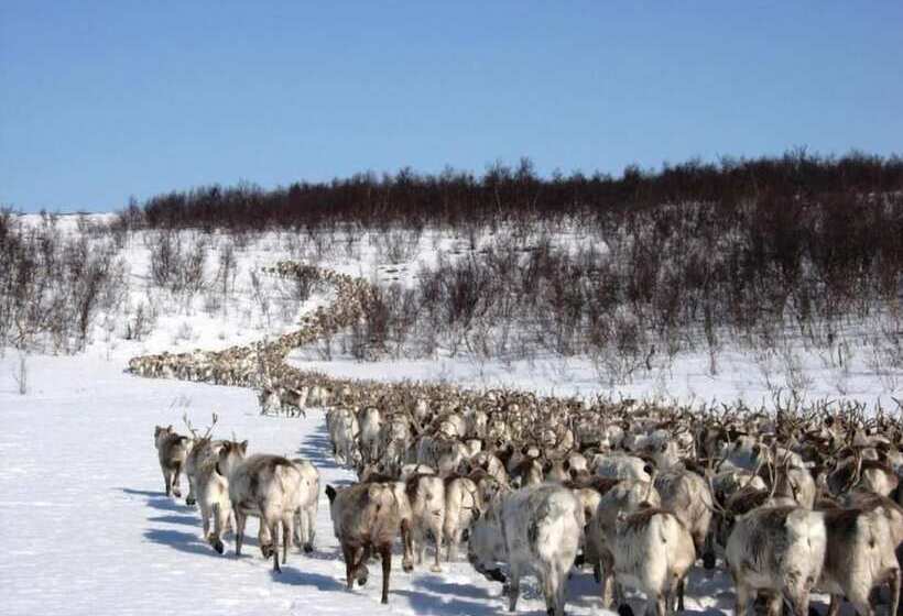 酒店 Engholm Husky Design Lodge