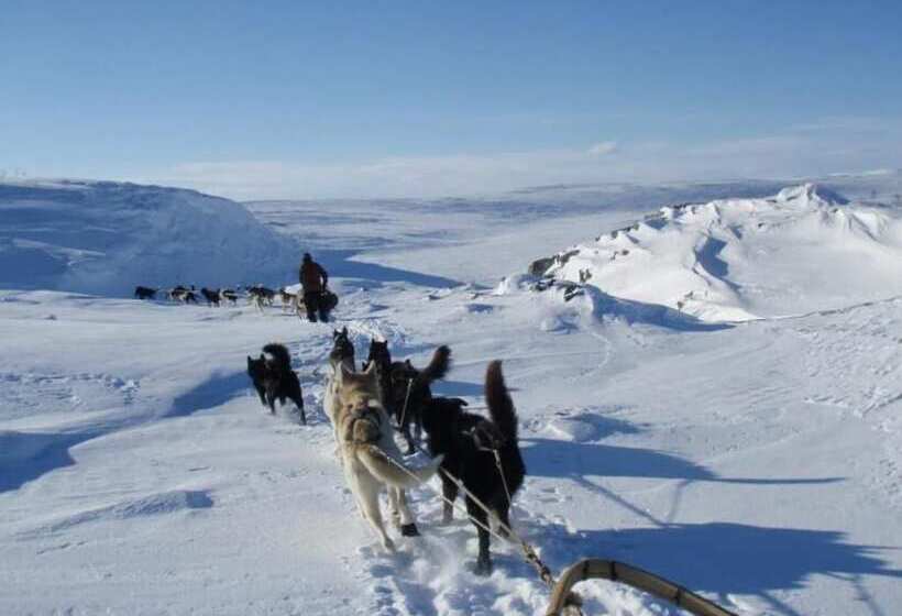 酒店 Engholm Husky Design Lodge