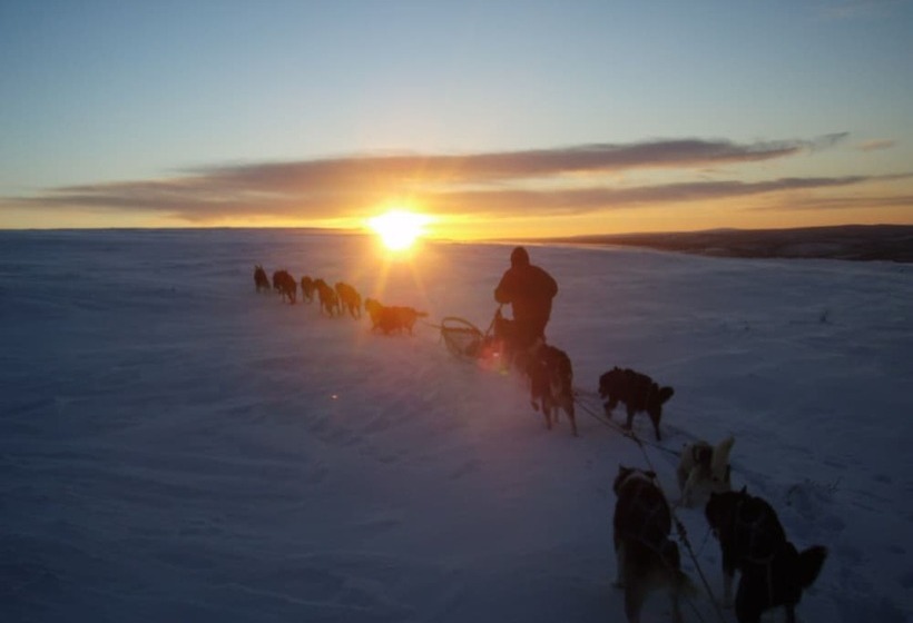 酒店 Engholm Husky Design Lodge