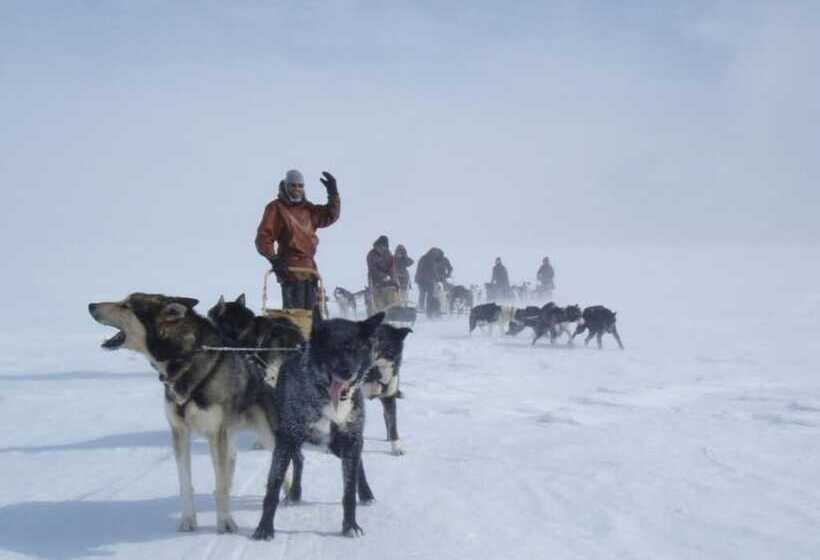 酒店 Engholm Husky Design Lodge