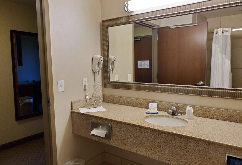 Holiday Inn Express Hotel & Suites Mankato East, An Ihg