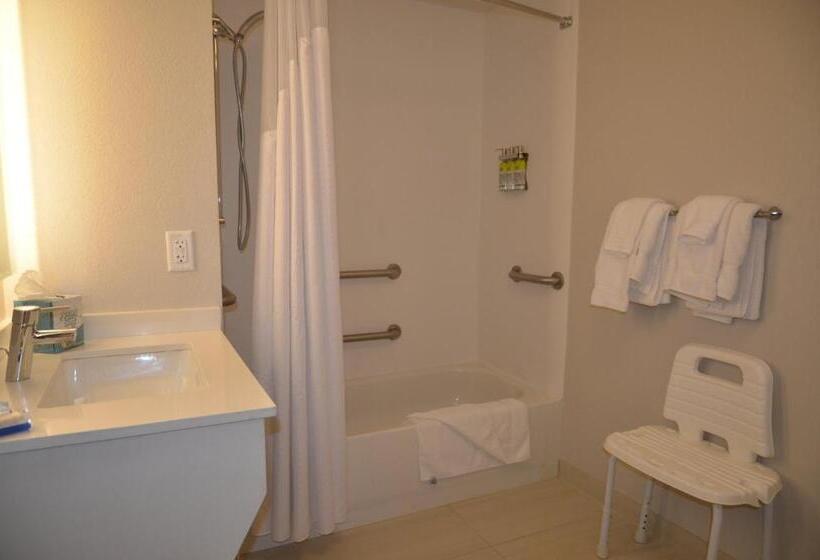 Holiday Inn Express Hotel & Suites Rochester, An Ihg