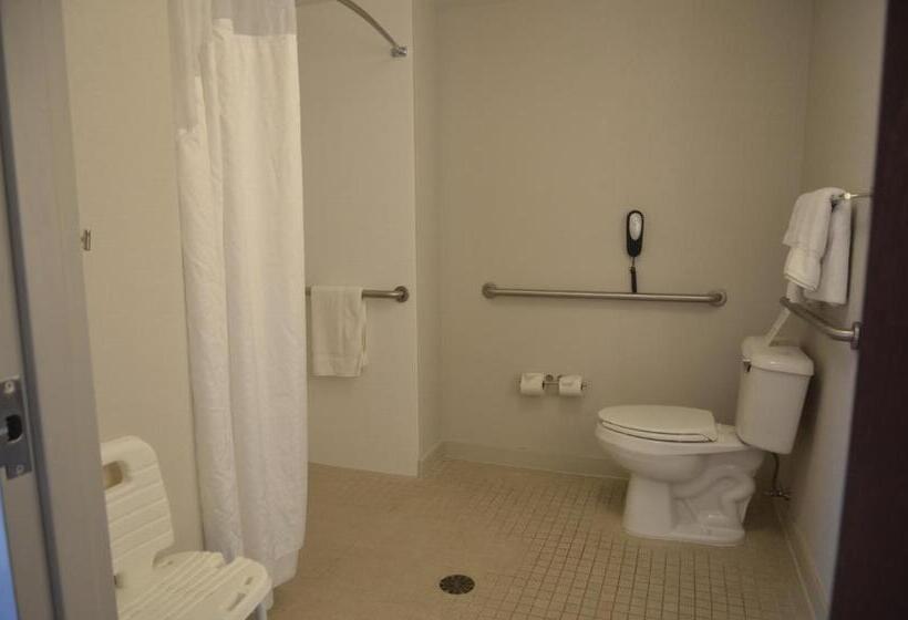 Holiday Inn Express Hotel & Suites Rochester, An Ihg