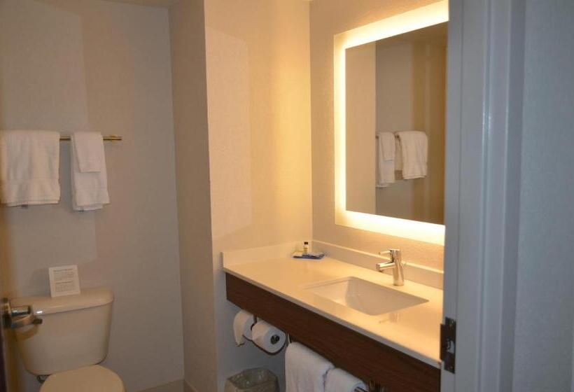 Holiday Inn Express Hotel & Suites Rochester, An Ihg