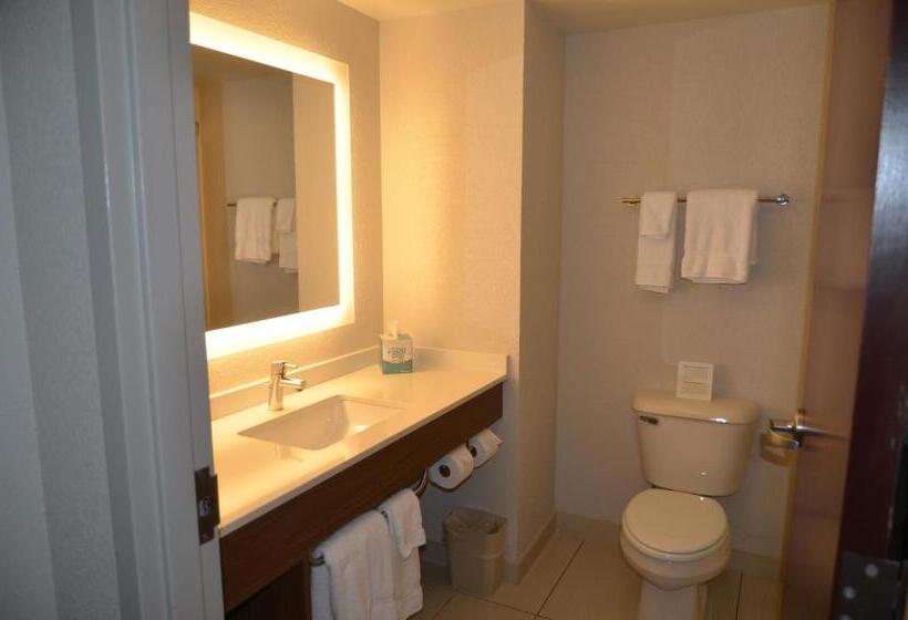 Holiday Inn Express Hotel & Suites Rochester, An Ihg