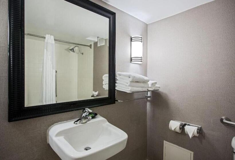 Отель Holiday Inn Express Schaumburg Rolling Meadows, An Ihg