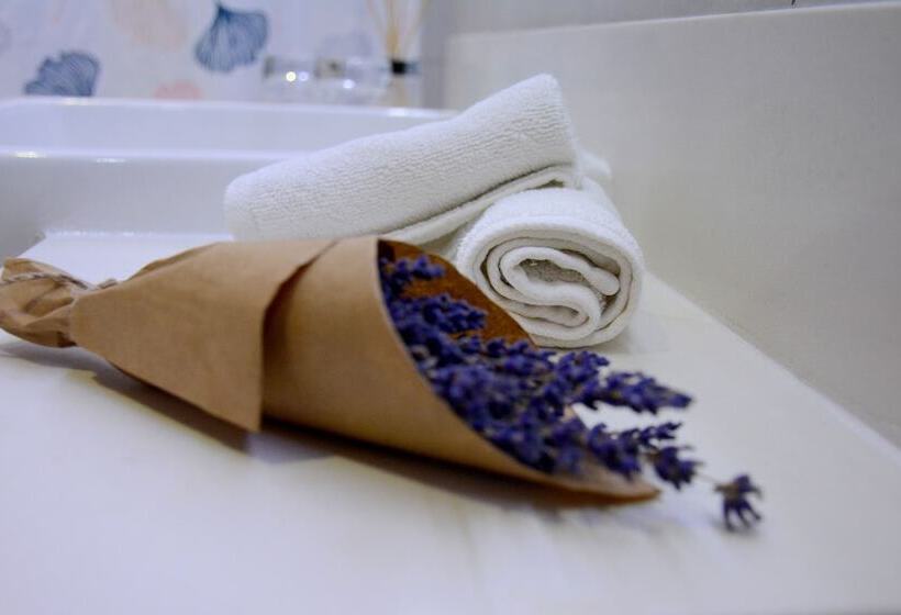 בית מלון כפרי Ian